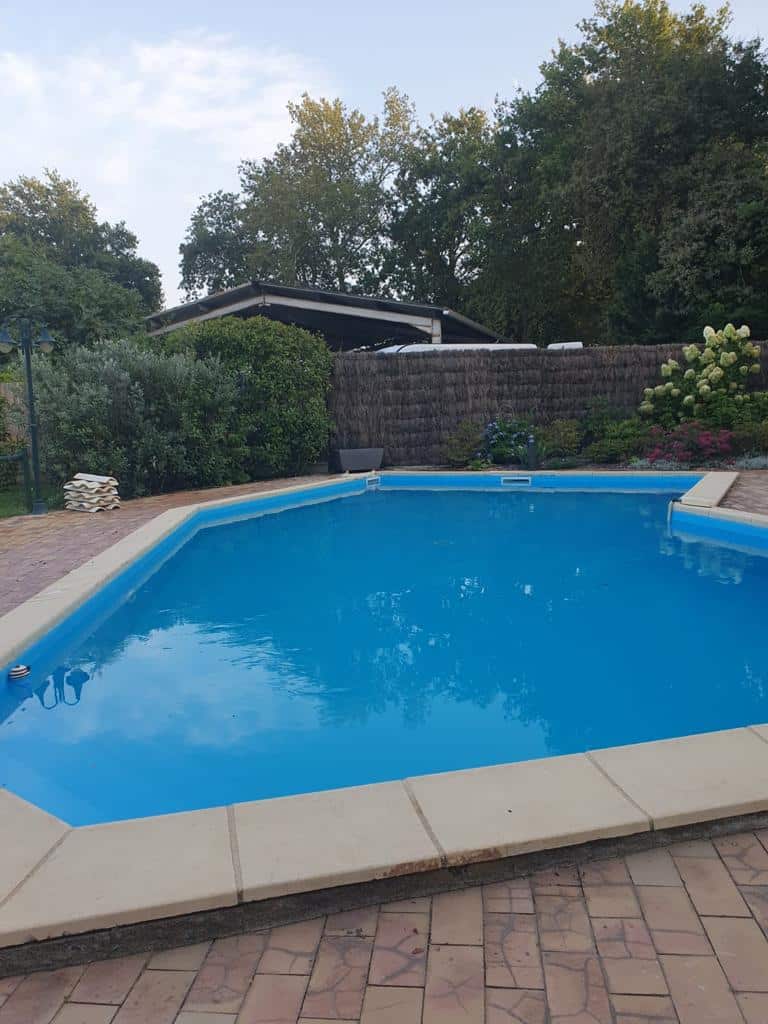 Piscine bleue entourée de pavés et de bordures claires dans un jardin luxuriant. Arbres et buissons verts, clôture naturelle en arrière-plan.